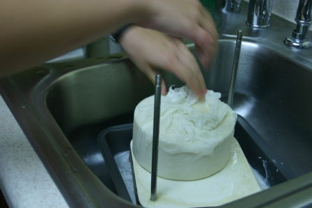 freshly pressed cheese.jpg