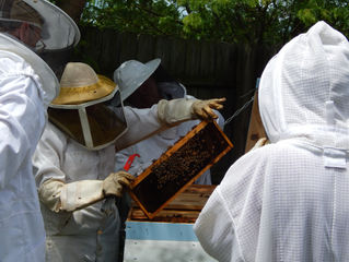 June Field Day