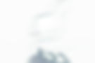 Pegasus websiteMIDDLEIMAGE2.jpg
