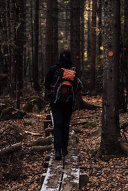 En tjej som vandrar  i skuleskogens nationalpark
