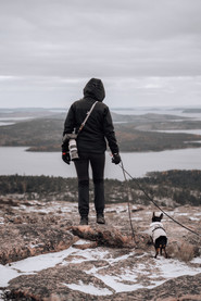 Tjej med hundar som vandrar över slåttdalsberget  i skuleskogens nationalpark