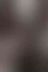 Hundar i slåttdalsskrevan i skuleskogens nationalpark