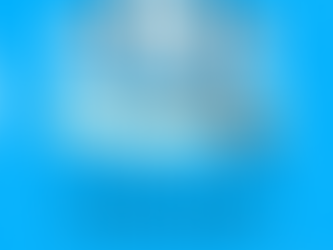 SƠ YẾU LÝ LỊCH CƠ BẢN BẰNG TIẾNG TRUNG QUỐC