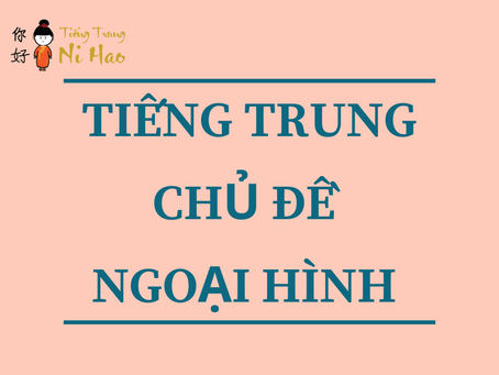 TỪ VỰNG TIẾNG TRUNG CHỦ ĐỀ NGOẠI HÌNH