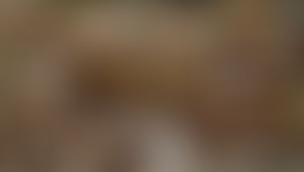 Генетики установили, какие млекопитающие сохранились со времен динозавров