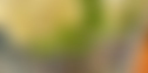 The Anti-Parasitic Healing Properties of Pineapple