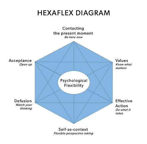 ACT hexaflex diagram