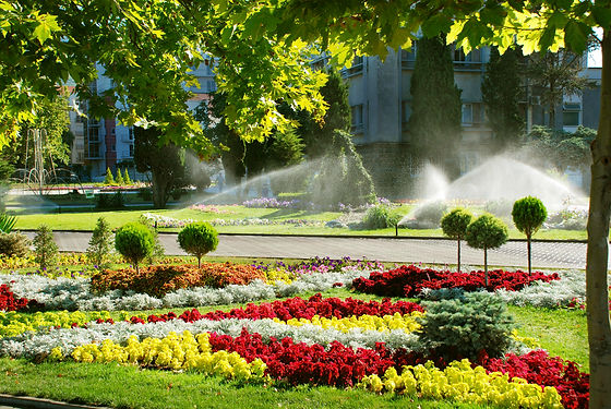 Colorado Springs Landscaping Project bro