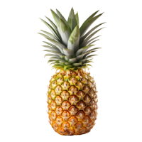Fresh pineapple fruit against a black background with green leaves