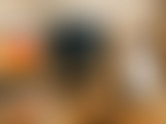 Wix Studio vs WordPress vs Shopify: Which Platform Wins?