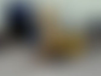 Preventing Fork Lift Accidents