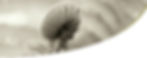 konsense_simone_hengartner_slider1.jpg