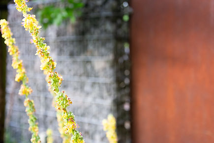 Nägele Bösch Gartenbau Gartenmöbel Oberbüren