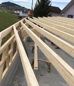 buehler_holzbau3.jpeg