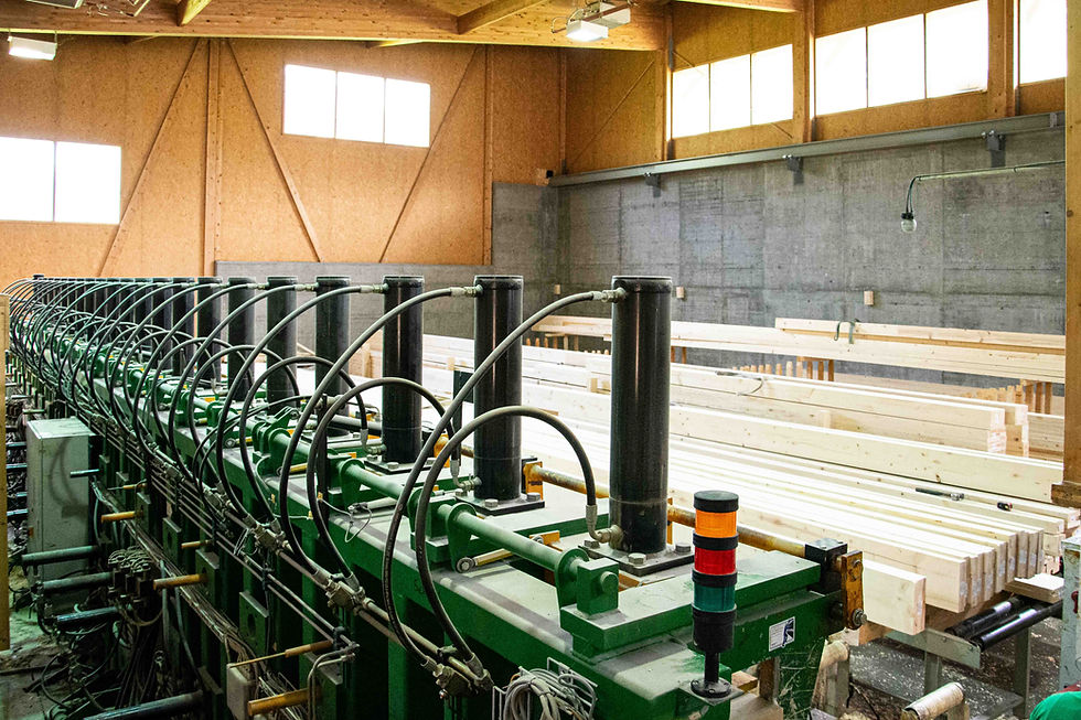 Necker Holz AG Leimholz Brunnadern