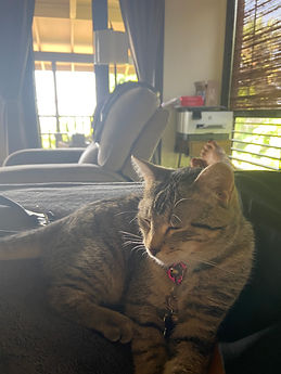 Lola