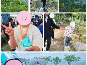 ネモフィラ祭り