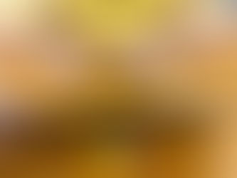 ☆積み木を使って☆