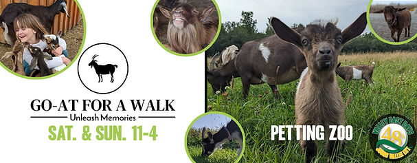 Goats for a walk Banner.jpg