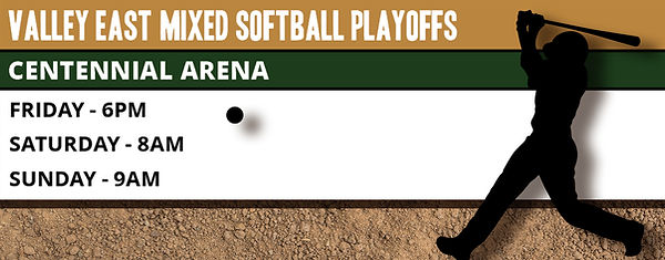 Softball Banner.jpg
