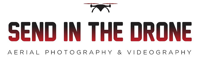 Send In The Drone logo