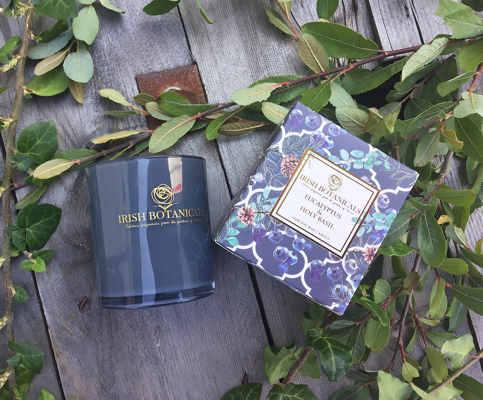 Irish Botanicals Tumbler in a Box - Eucalyptus & Holy Basil
