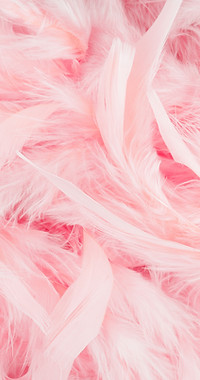 Pink Feathers