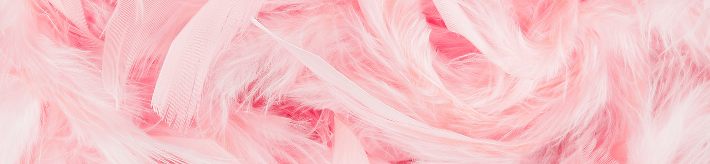 Pink Feathers