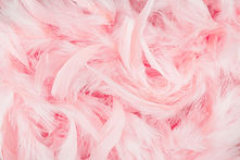 roze veren