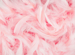 Plumes roses douces