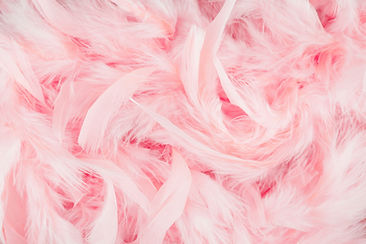 Soft pink feathers