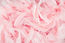 Pink Feathers