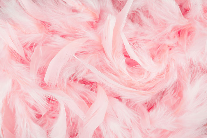 Soft pink feathers