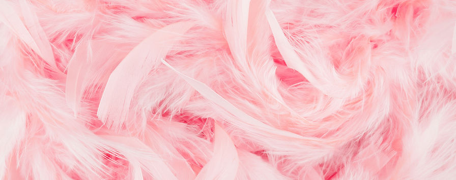 Pink Feathers