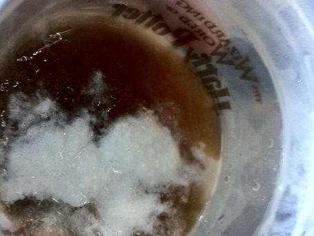 Battle of the Butterbeers