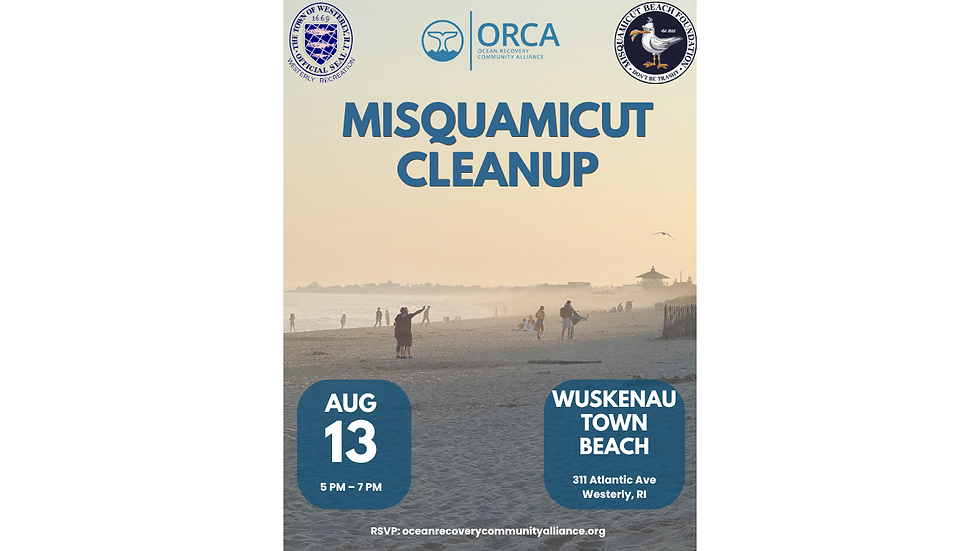 Misquamicut Cleanup