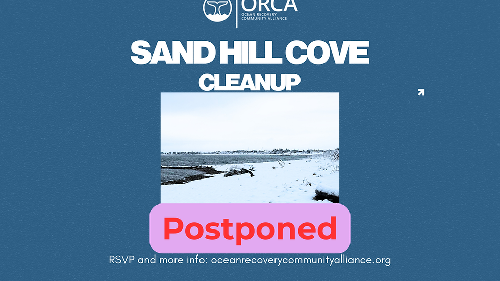 Sand Hill Cove Cleanup 