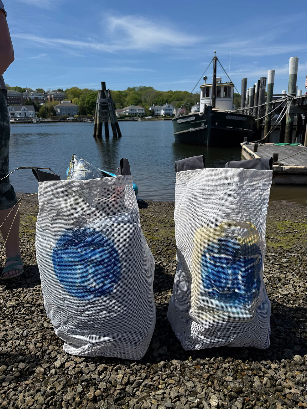 Mystic, Connecticut River Cleanup Brings Volunteers Together on Land and Water