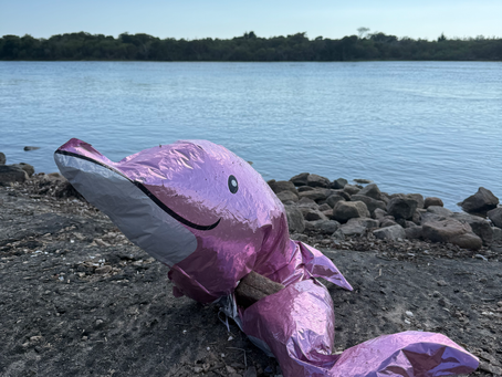 How Balloons Affect the Environment and Harm Marine Wildlife