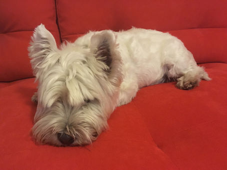 Identity crisis. Help!