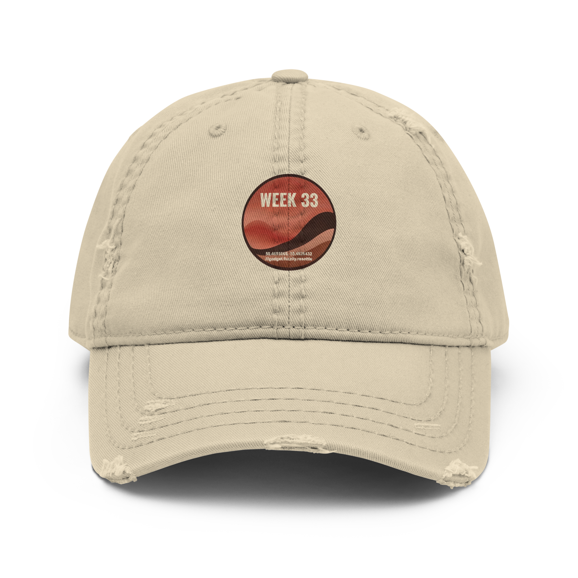 Distressed Dad Hat | Otto Cap 104-1018