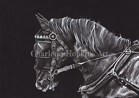 Horse_edited.jpg