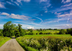 untitled (1 of 1)-10