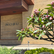 Nobu Malibu