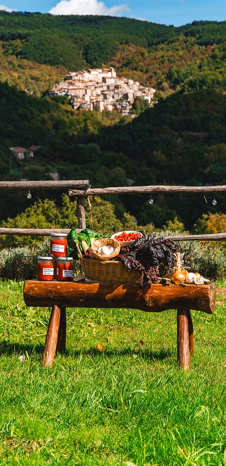 Fattoria del borgo-58.jpg