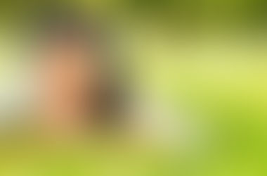 Lista de 8 músicas para curtir no trânsito