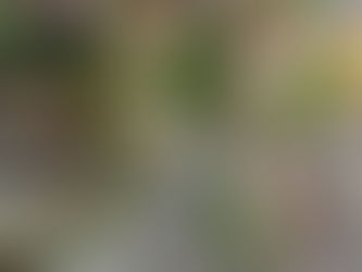 【4/15.30】フレンチスタイルのフラワーレッスン(reifan)