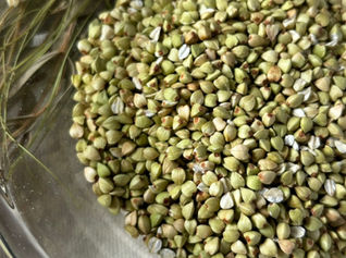 【12月14日(日)11:00~18:00】⭐そばの実 試食体験