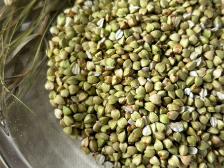 【12月14日（日）11:00～18:00】⭐そばの実 試食体験