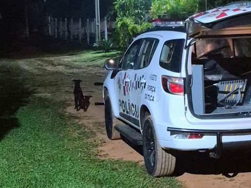 Força Tática captura mulher procurada pela Justiça em chácara na zona rural de Tupã